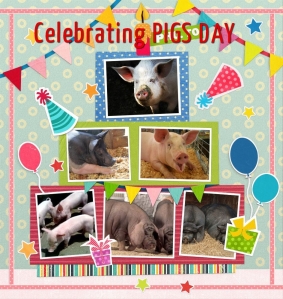 celebrating pigs day