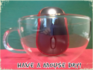 Have_a_mouse_dry