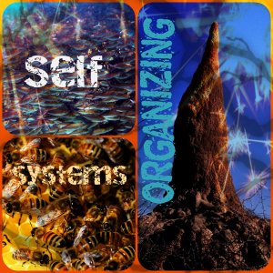 collage self org systems pixlr