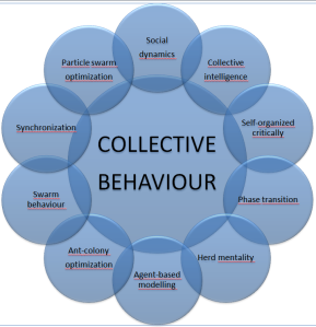 collective_behaviour_diagram