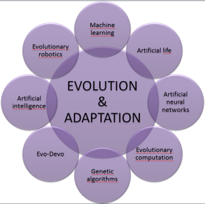 evolution_diagram