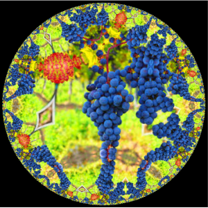 fractal_effect_grapes