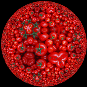fractal_effect_tomatoes
